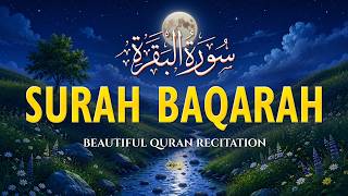 Surah Al-Baqarah (سورة البقره) | Powerful Quran Tilawat for Protection & Blessings #quranforsleep