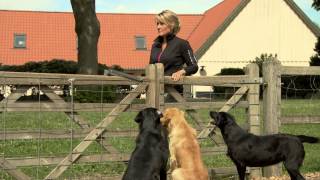Dansk Kennel Klub  'Hundeejerens værktøjskasse'