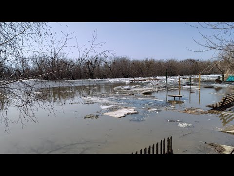 Разлилась речка и розы после зимы.