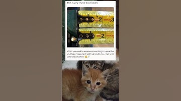 "This Is Why I Have Trust Issues 😂" #laugh #videos #information #memes #shorts