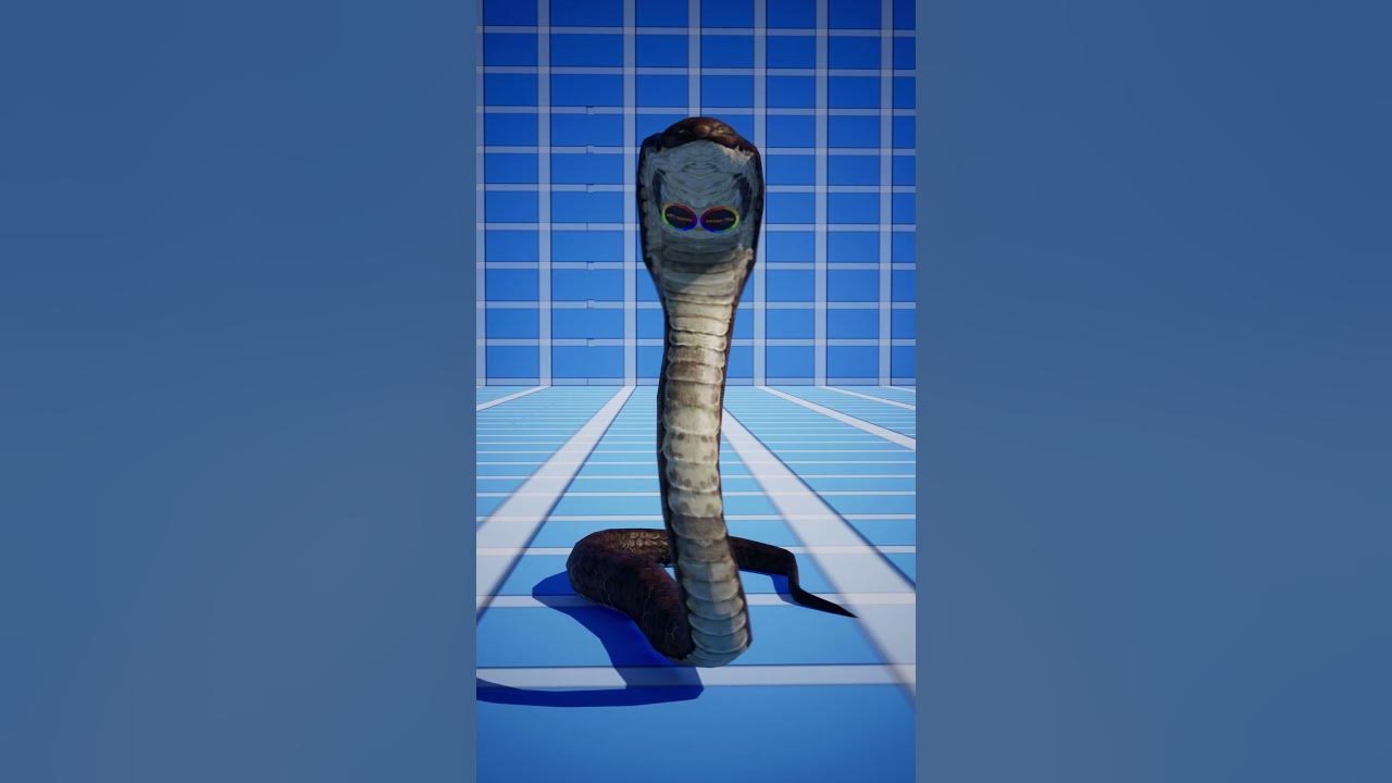 How Snake Charming Works 🤯