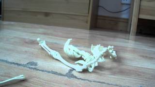 DSCF0572.avi