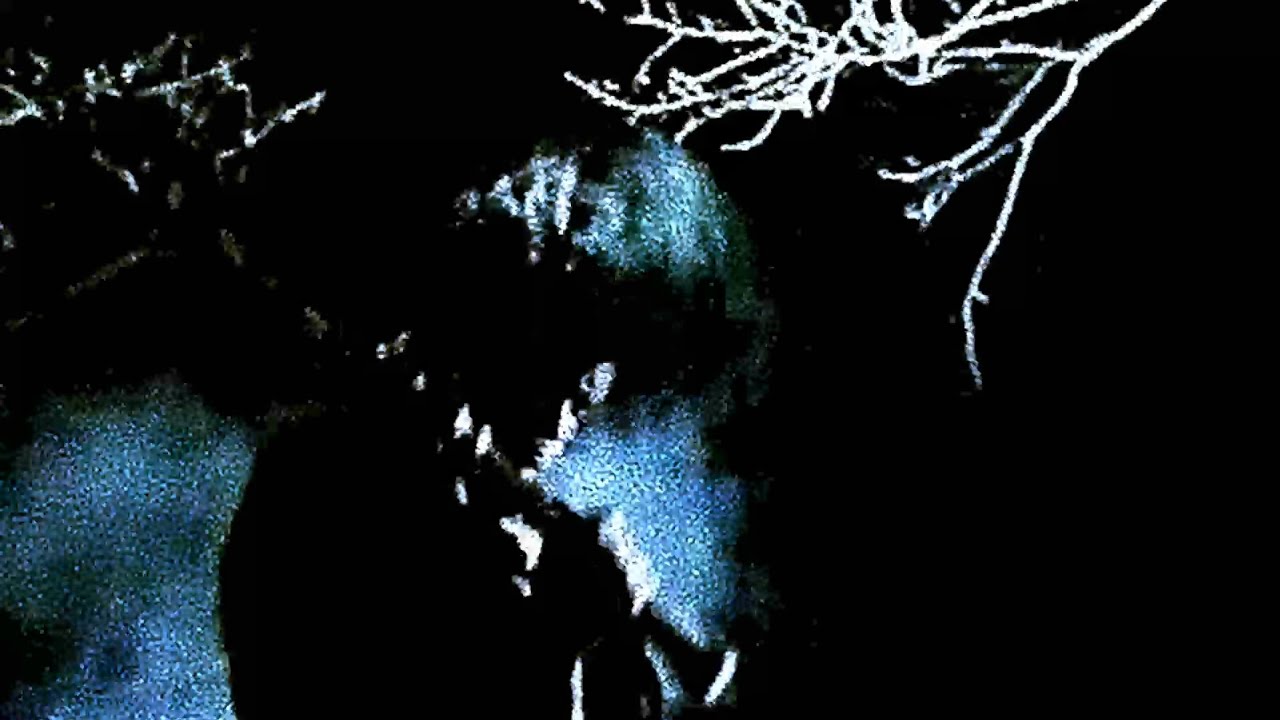 [FREE] KEN CARSON TYPE BEAT - 'AOKIGAHARA'