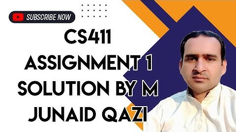 CS411 Assignment 1 Solution Fall 2023 By M Junaid Qazi