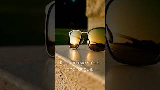 Polarized Sunglasses – Block Glare, See Clearer ☀️