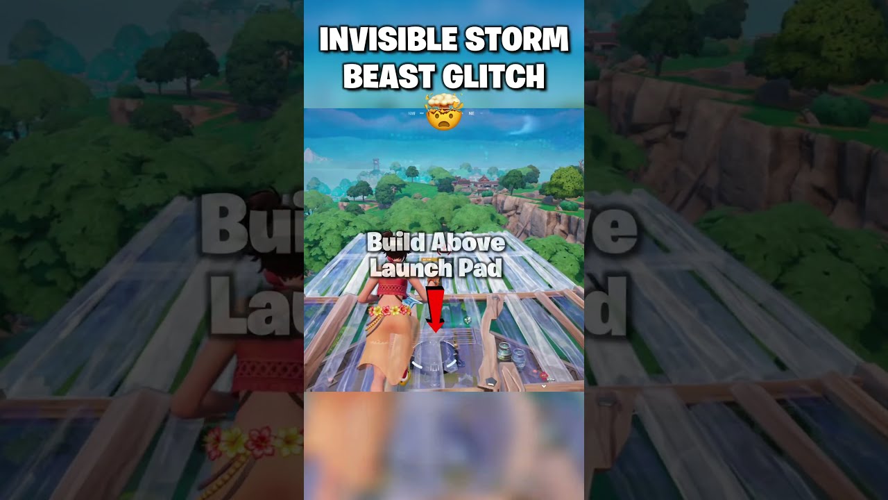 INVISIBLE STORM BEAST GLITCH Shorts