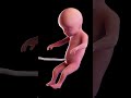 Essential Tips to Strengthen Your Newborn’s Immune System Naturally | Dr. Deepika Singh | #newborn
