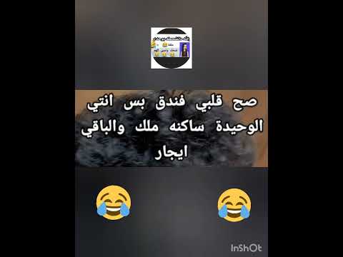 نسونجي لما بيغازل