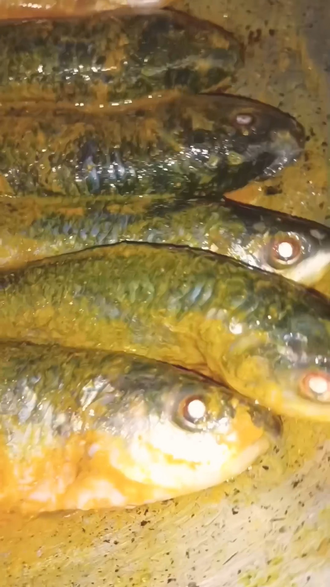 ରବିବାର ରାନ୍ଧଣା - ShareChat