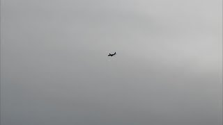 British Airways Airbus A319 G-Dbcd Flying Through The Branches
