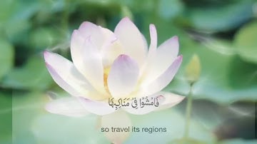 ( سورة الملك ) تلاوة رائعة اكتب شيء تؤجر عليه 💓💓💓