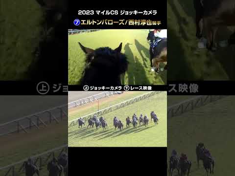 【ジョッキーカメラ×レース映像】2023年マイルチャンピオンシップ エルトンバローズ 西村淳也騎手 #shorts ｜JRA公式