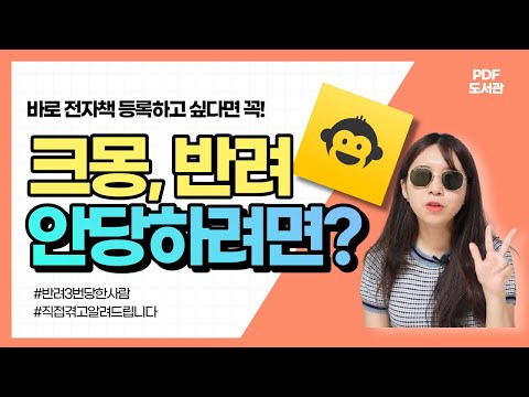크몽 전자책 만들기 전에 꼭 보세요! (feat. 반려안당하는법) 유튜브 미리보기