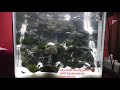 Hill waterfalls into the fish tank