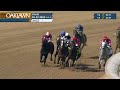Oaklawn Park March 22, 2025 The 23rd Running of Purple Martin Stakes