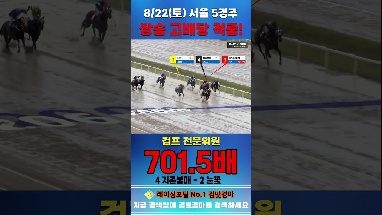 [서울 경마] 8월 22일 토요 5경주 검프 전문위원 쌍승 고배당 적중 #경마 #horse #한국마사회 #automobile #하이라이트 #riding #게임 #뉴스 #korean