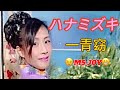 ハナミズキ /  一青窈 / 歌ってみた@MS.JOY-MJ