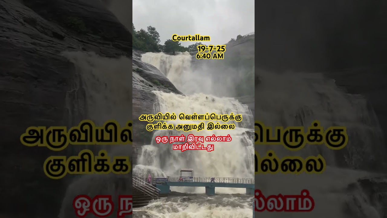 Courtallam live update 