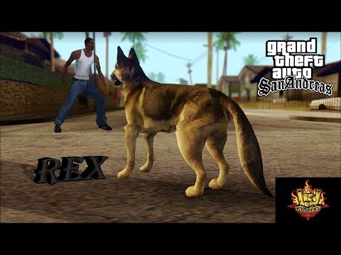 Come ottenere un animale domestico (cane) in GTA San Andreas