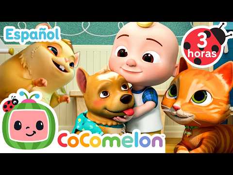 🐶 ¡Las mascotas! 🐱 | CoComelon y los animales 🍉| Dibujos animados para niños