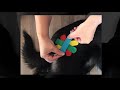 Kinesiology Taping for Dogs Book Trailer