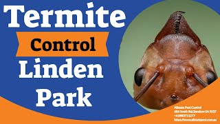 Termite Control Linden Park