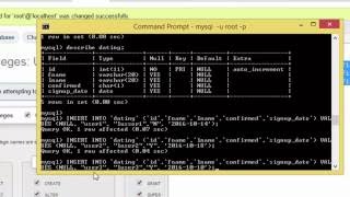 mysql database on cmd