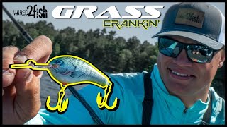 3 Crankbait Tips to Catch More Summer Bass in Grass