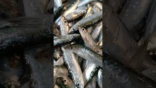 Most People Buy Sardines Wrong. Avoid common sardines buying mistakes. #fish #seafood #sardines