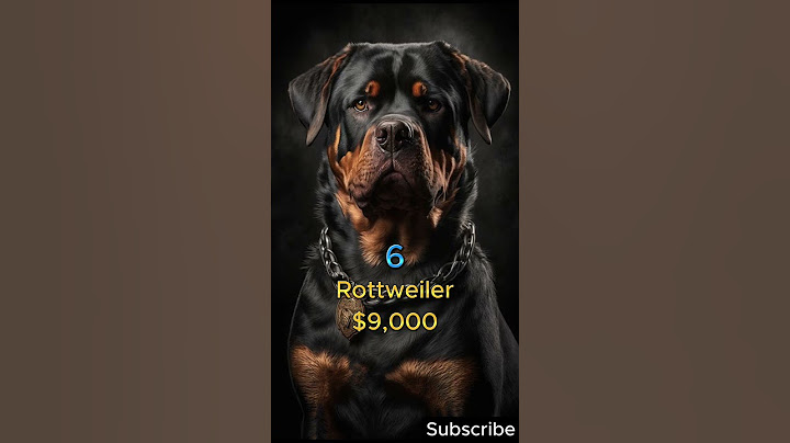 #top10 Costliest Dog Breeds in the World
