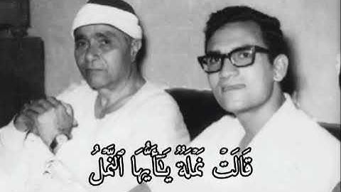 "وَحُشِرَ لِسُلَيْمَانَ جُنُودُهُ" !! من روائع التلاوات للقارئ الطبيب أحمد نعينع !! سورة النمل