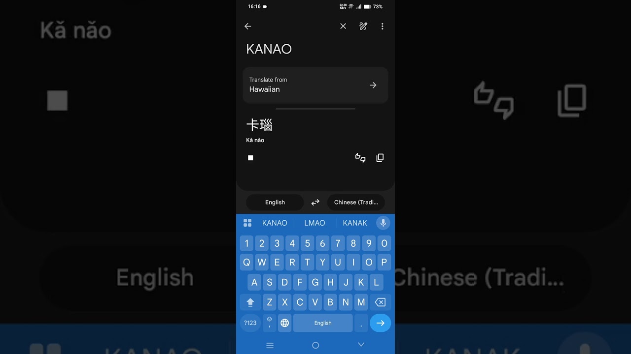 Translating kamobako squad to Chinese (gone wrong)