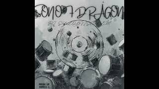 Zenze X Son Of Dragon Mashup By Dj Sylo Ft Visch Em Full Remix