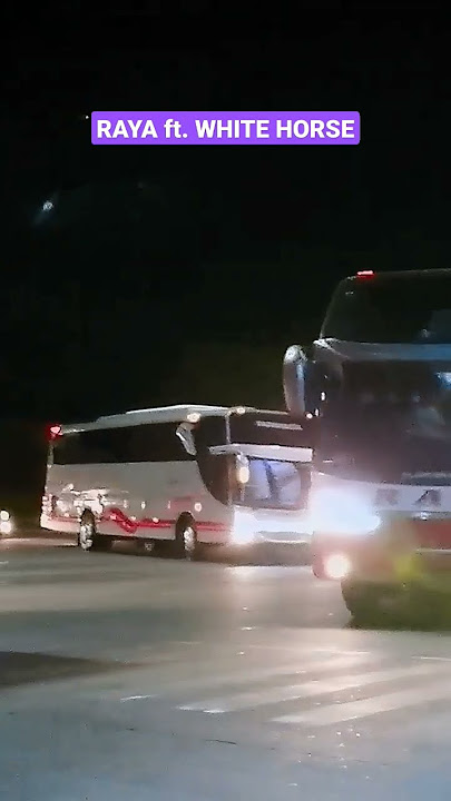 RAYA MENIKUNG BERSAMA WHITE HORSE #shorts #raya #videobus #huntingbus #nyodrek #busmania