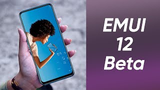 Huawei Y9 Prime 2019 EMUI 12 beta ??