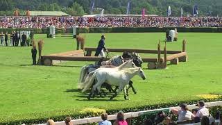 horseman lorenzo