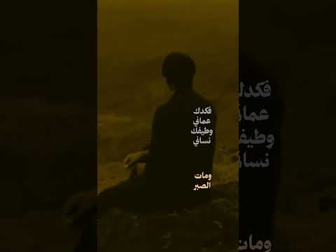 عزي ودلالي وبيض الليالي