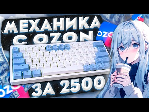 видео: 🤑МЕХАНИЧЕСКАЯ КЛАВИАТУРА С OZON ЗА 2500 РУБ — CYBERLYNX ZA63🤩