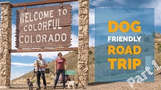 Dog Friendly Road Trip from Texas to Colorado