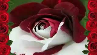 Eid shayari