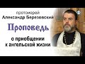 Проповедь о приобщении к ангельской жизни (2020.11.20). Протоиерей Александр Березовский