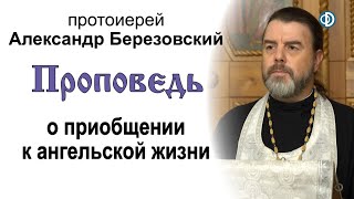 видео: Проповедь о приобщении к ангельской жизни (2020.11.20). Протоиерей Александр Березовский картинка: Проповедь о приобщении к ангельской жизни (2020.11.20). Протоиерей Александр Березовский