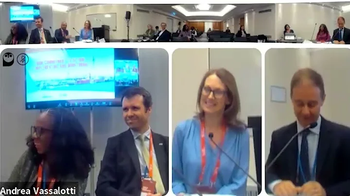 From Commitment to Action: Implementing and Monitoring National CV Health Plans Post-UN HLM