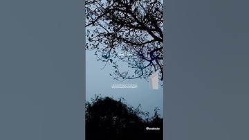 #سورة _آل عمران#quran #قران #حالات_واتس #قران كريم #راحة_نفسية #تلاوه #اكسبلور #المنشاوي المن