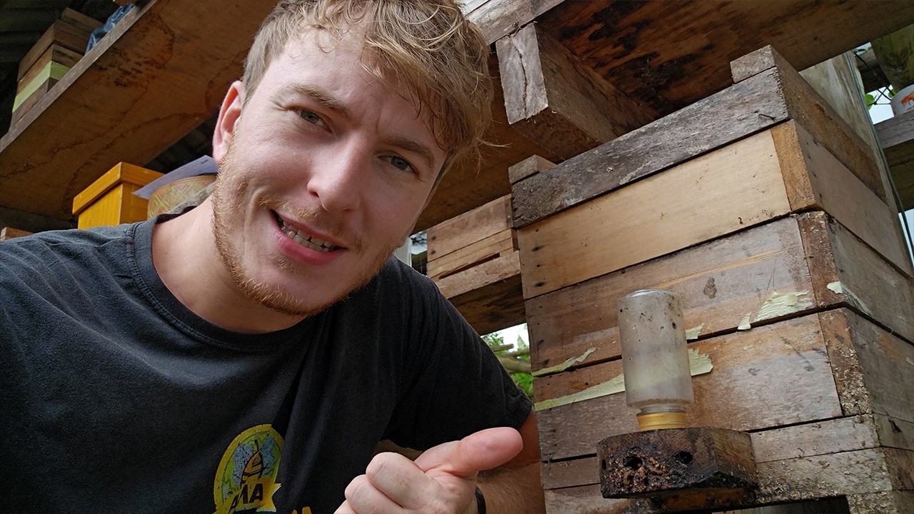 Essa posição fazem suas asf turbinarem | Café com Abelha #51