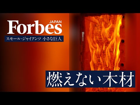 【シリーズ 小さな巨人｜シェルター】燃えない木材で木造建築の常識を変える