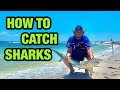 how to catch SHARKS from the shore