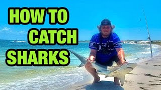 how to catch SHARKS from the shore