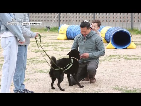 [선공개] ⚡️역대급 강형욱의 고된 훈련⚡️ 개만큼이나 말 안듣는 <strong>아들</strong> 주운이 등장! 개통령은 퇴근하고파ㅋㅋ [개는 훌륭하다/Dogs <strong>Are</strong> Incredible] | KBS 방송