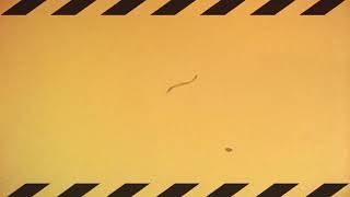 Vintage Working Area Background With Glitch Effect - Loading Yellow Grainy Seamless Loop